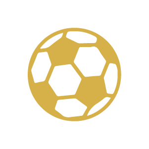 soccer ball icon