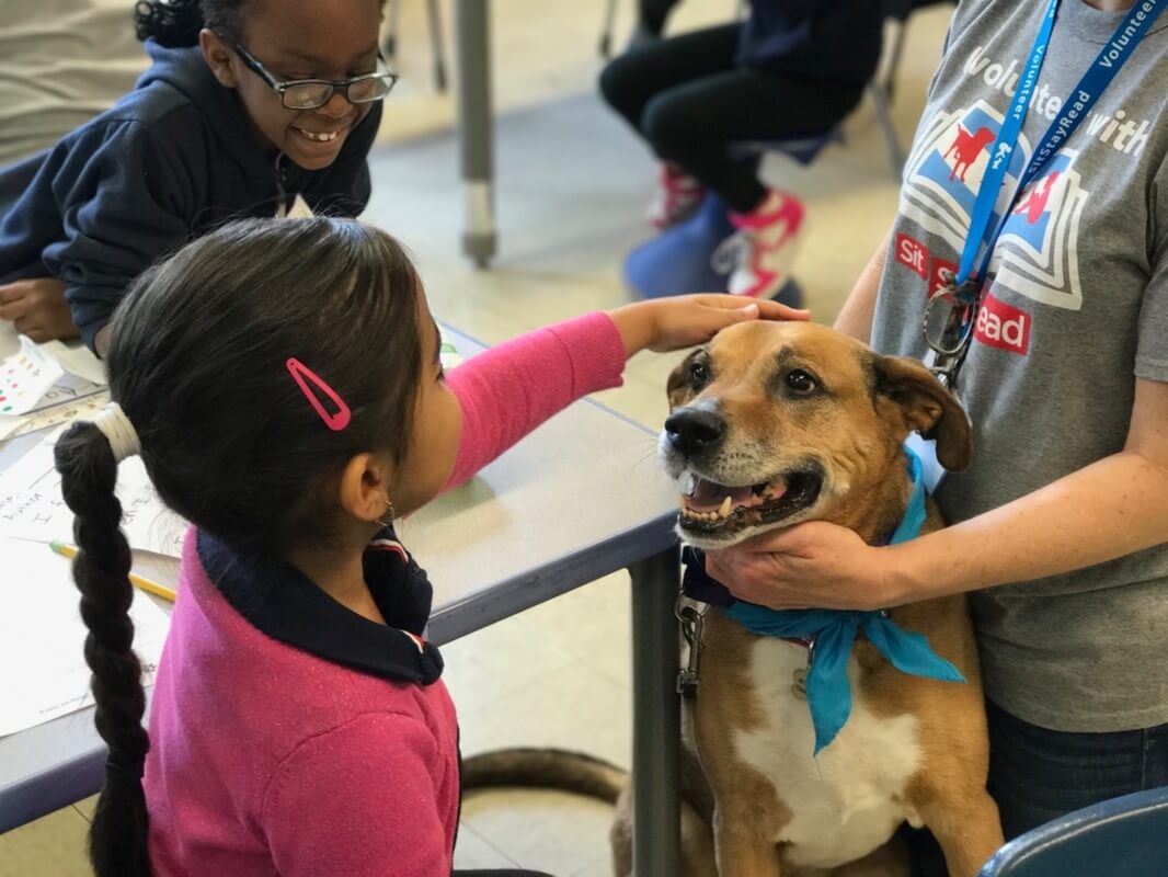 girl petting dog